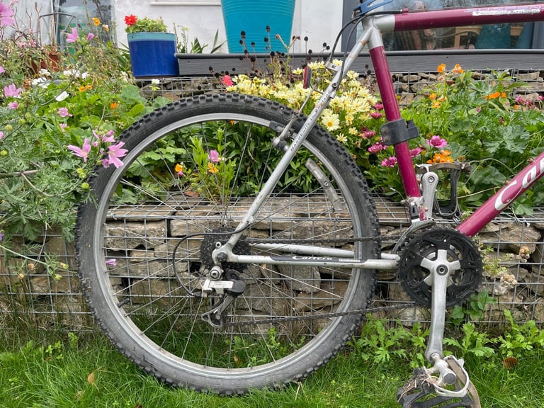 Men’s Carrera Bike