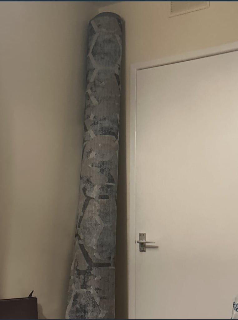 image for Carpet 
