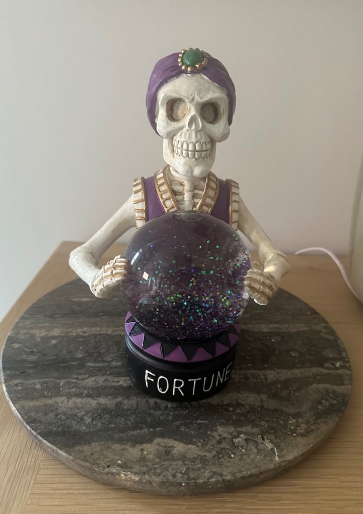 image for Halloween Fortune Teller Snowglobe