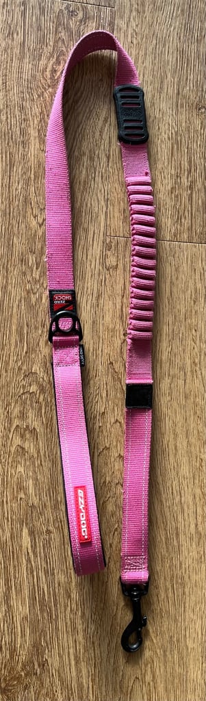 Dog lead shock-absorbing 