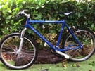 Adult falcon mountain bike 