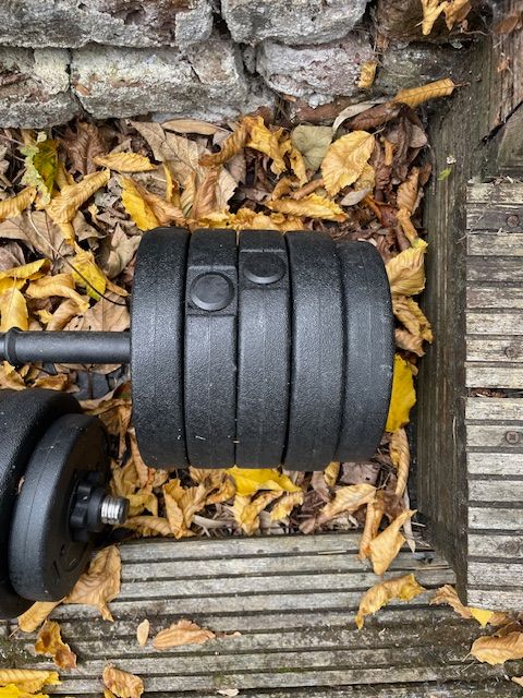 Free Weights Set for Sale - 2 Dumbbells + 1 Barbell 