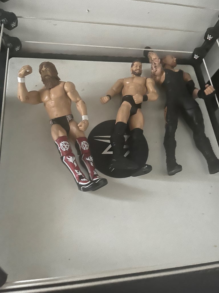 WWE 2025 Ring