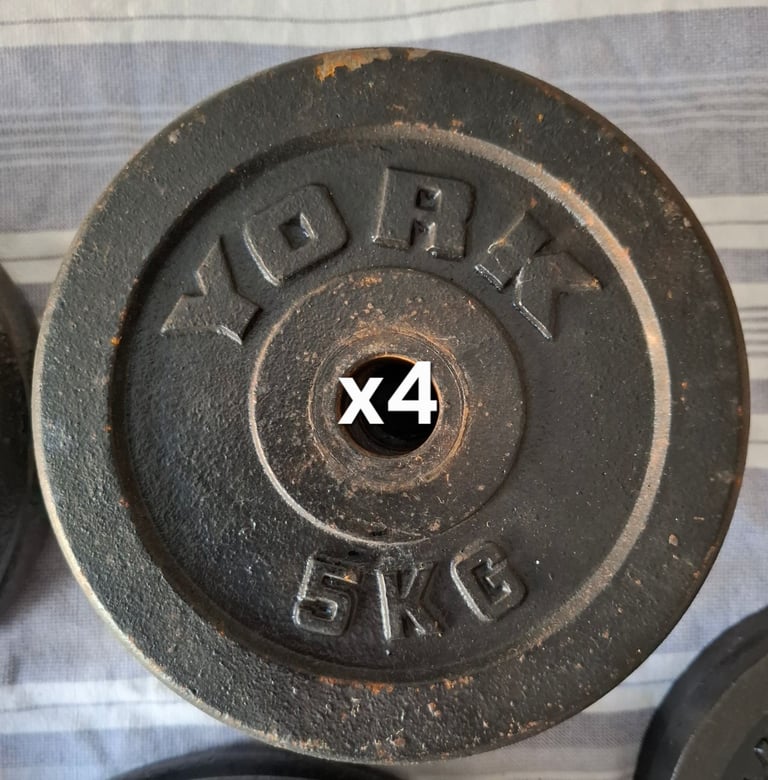 Weights, dumbells and an EZ bar 