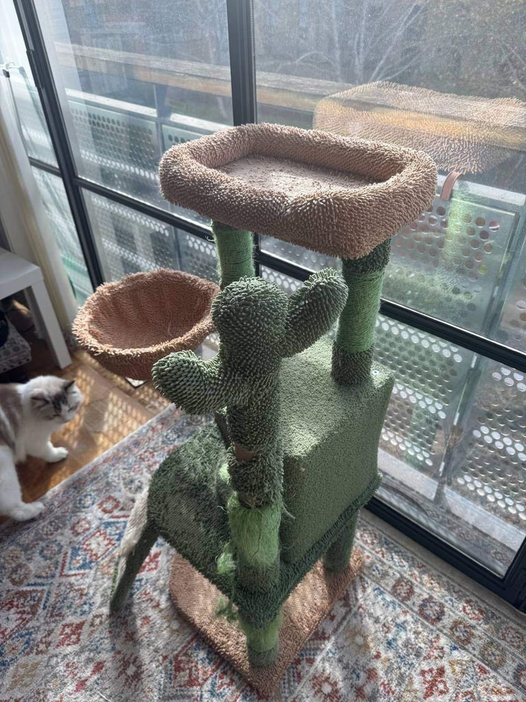 Cat Tree For Free