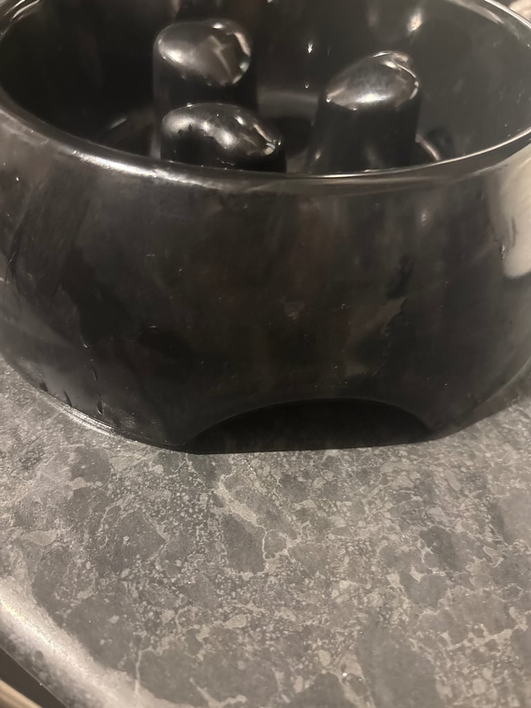 Slow feeder Dog bowl 