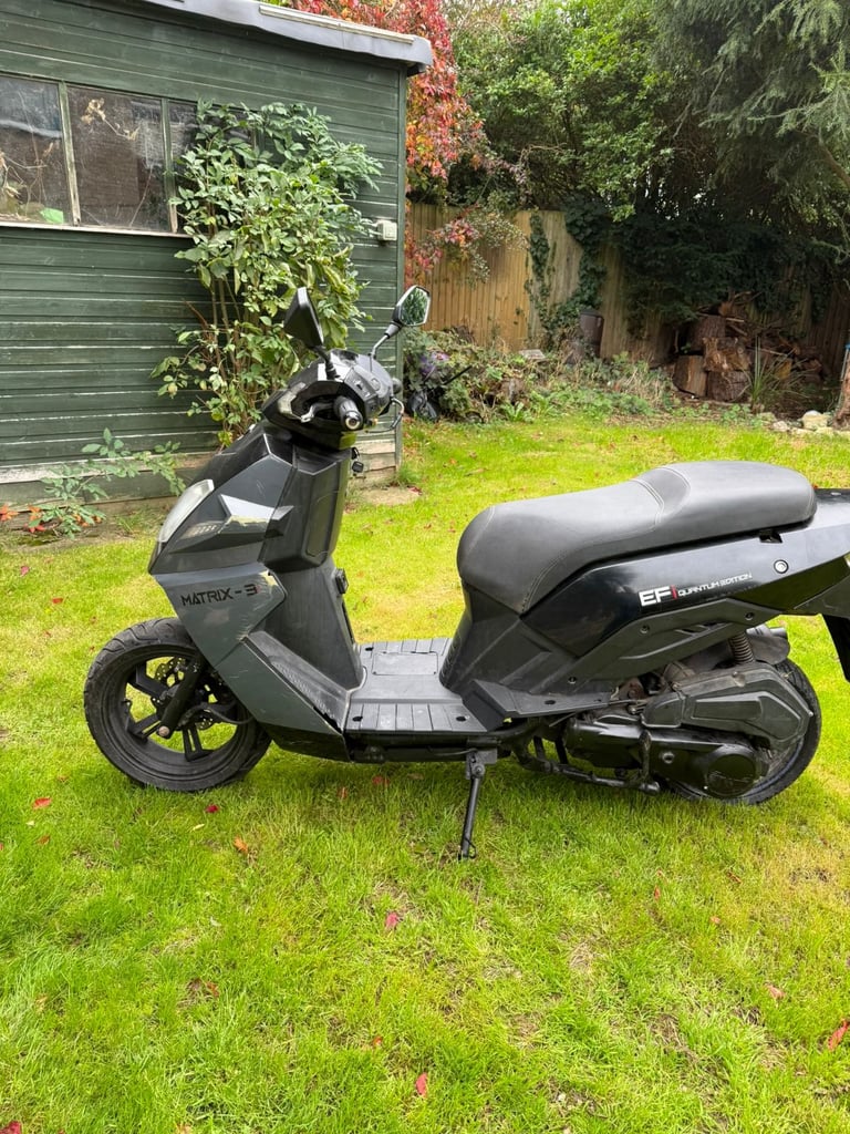 Sinnis, MATRIX, 2020, 125 (cc)