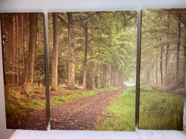 Canvas print ( 3 piece), from Next. Woodland scene; very large.