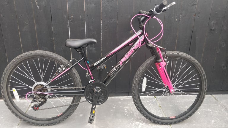 image for 24 Inch Piranha Frenzy Bike