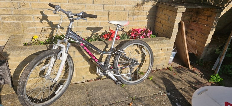 image for Trek mt220 kids bike