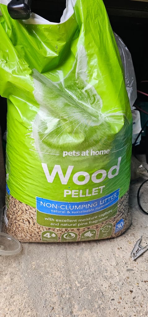 Cat Litter 
