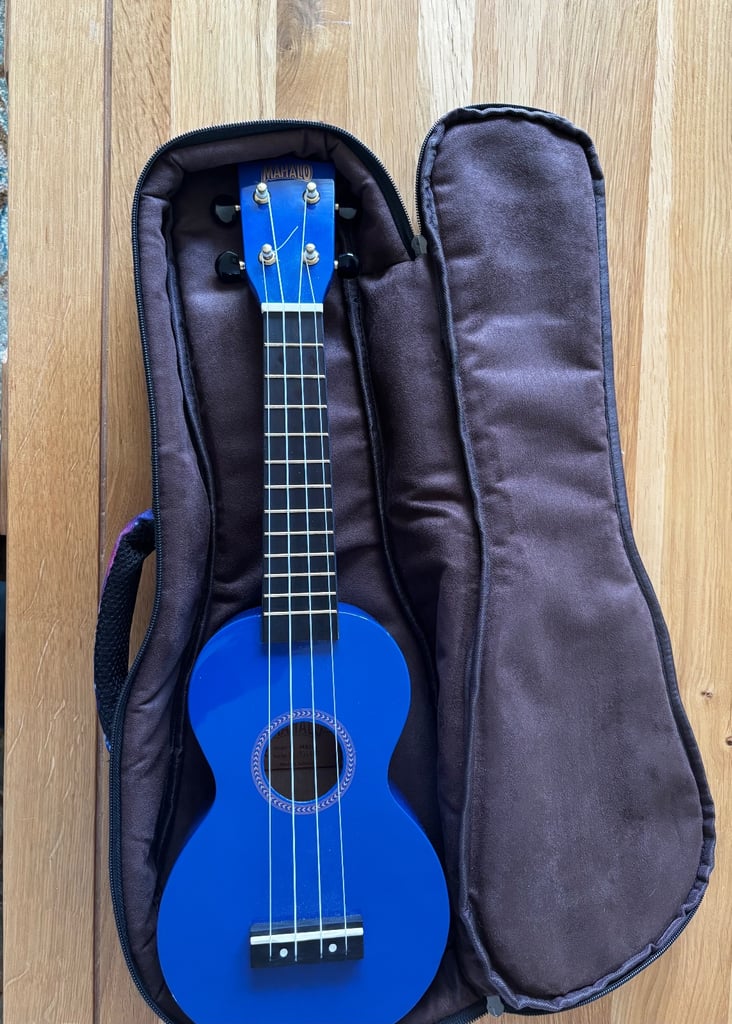 Royal blue full size ukulele 