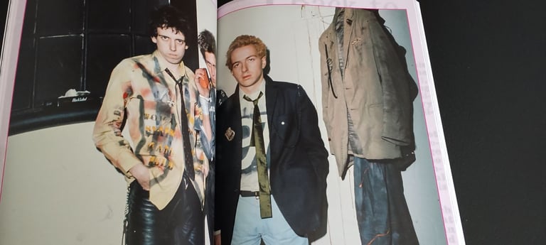 Punk Rock A Visual Biography by Andy Francis Paperback 2023