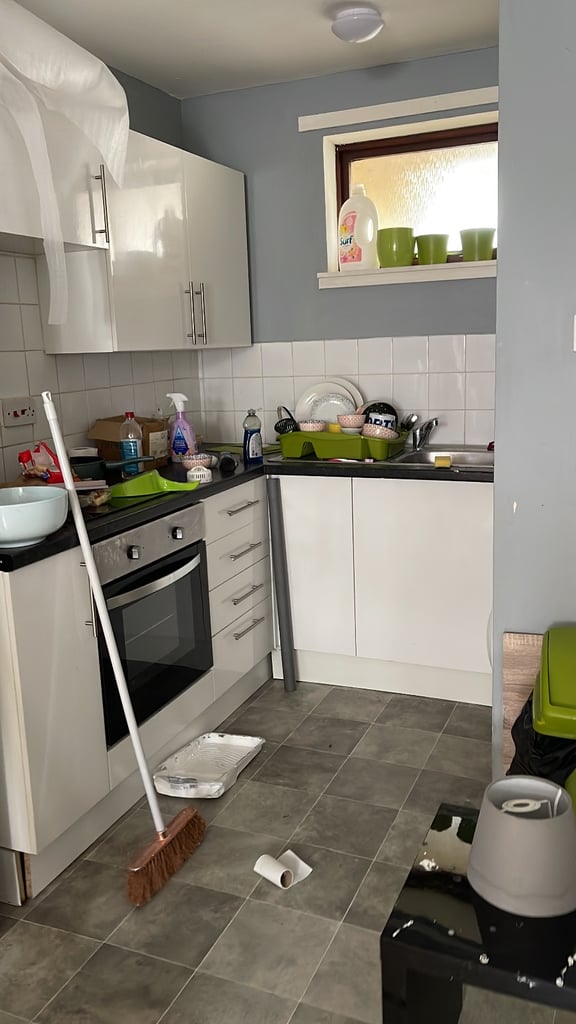 Cleaner + clothes/ washing/drying/ironing Gloucester/Cheltenham/Stroud/Nailsworth/Tetbury