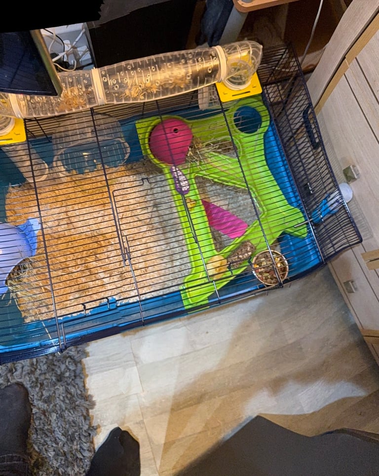 Hamster cage