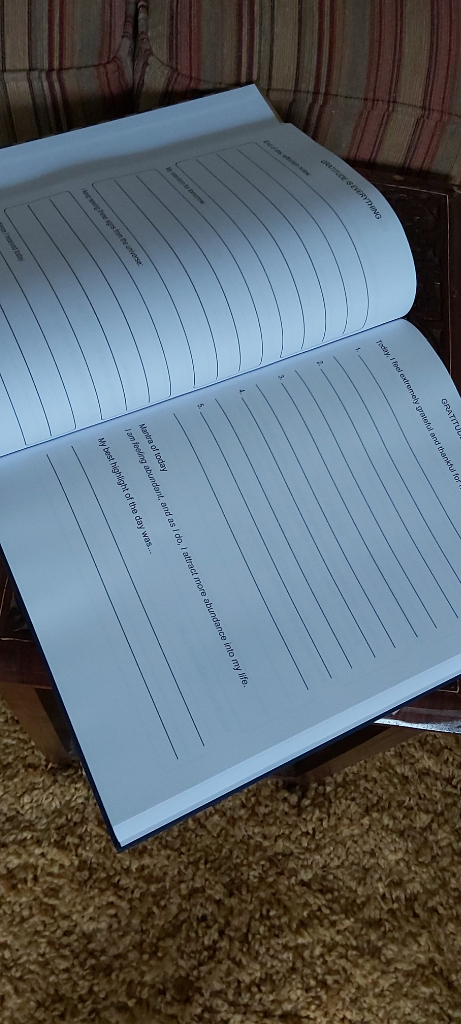 Gratitude Journal For Abundance 90 days (Hardcover) 