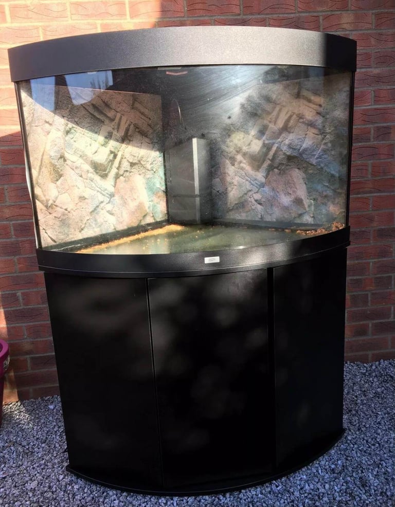 Juwel Trigon 190 Black fish tank aquarium tropical setup delivery 🚚