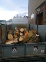 Logs for firewood 