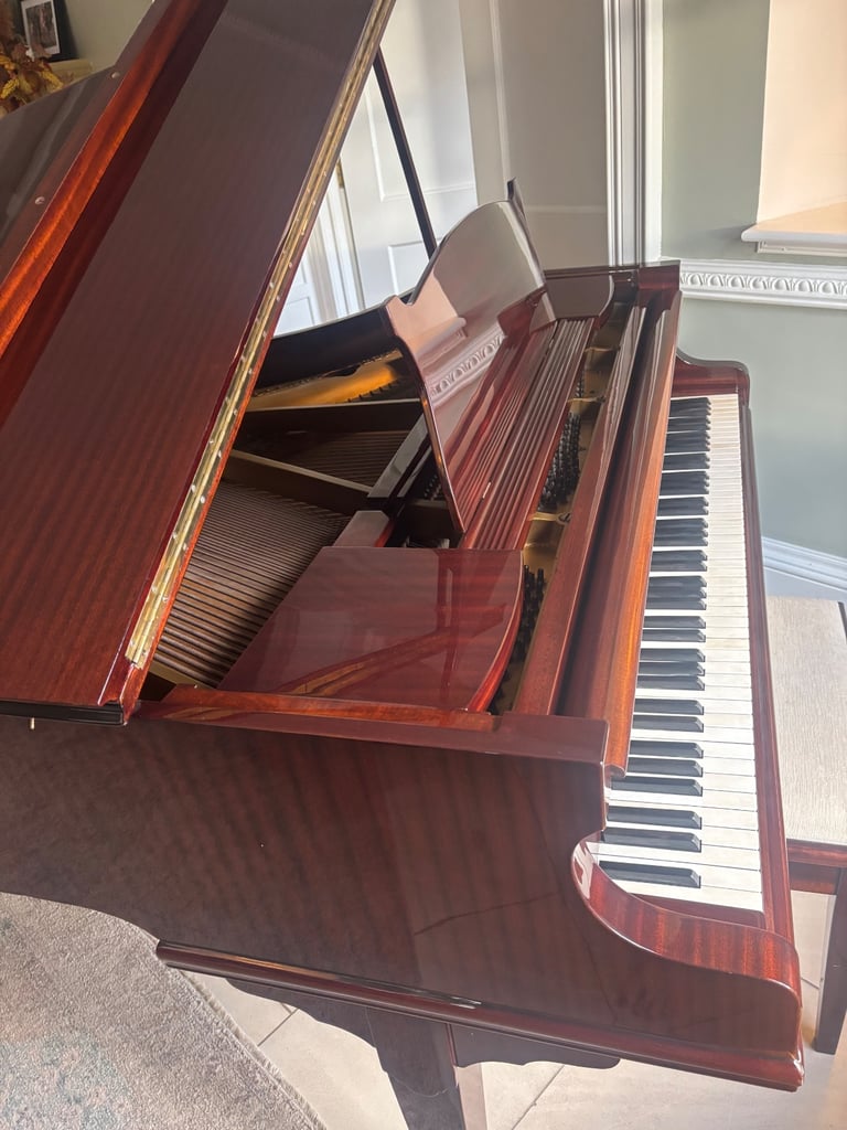 Beautiful Baby Grand Piano