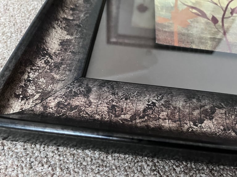 Pair of framed bird prints