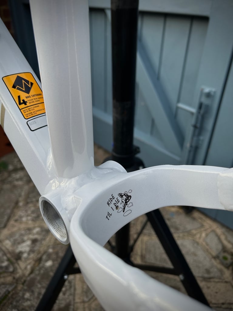 2024 Canyon Stoic Medium 29 Alloy ‘Guardian Angel’ Frame