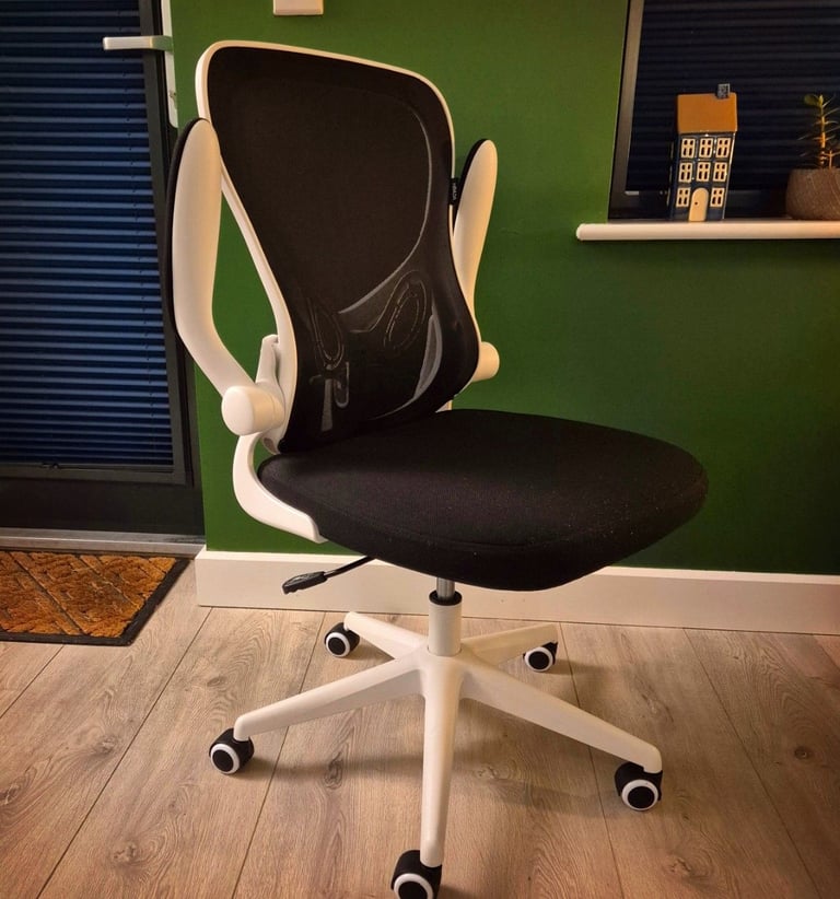 image for Ergonomic office chair 