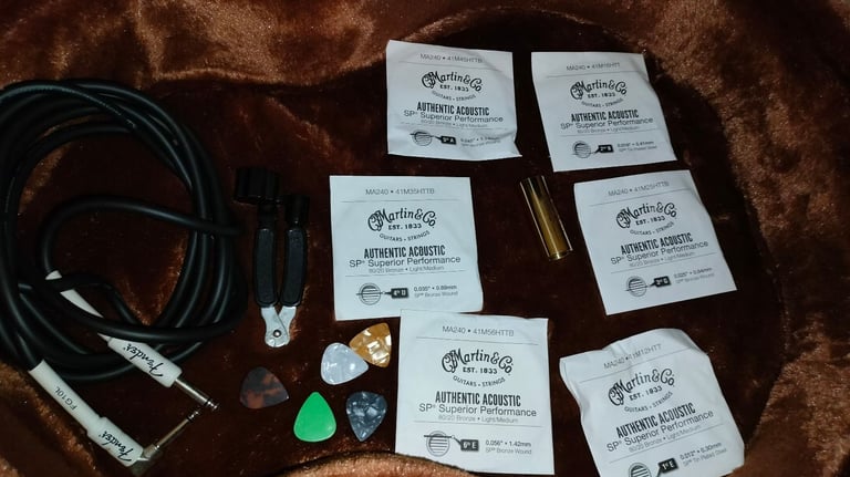 Faith - Guitar and Case Semi Acoustic