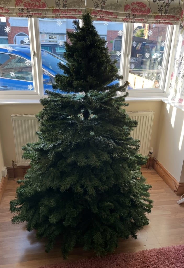 6ft tree
