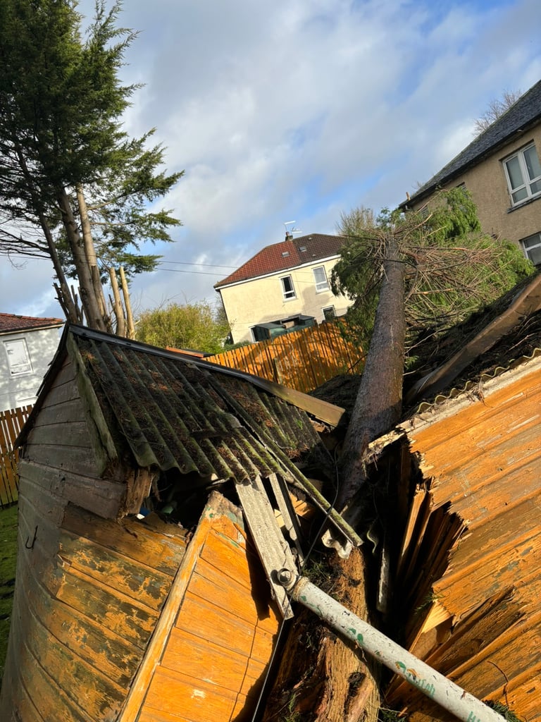 FENCE REPAIRS & TREE REMOAL 🌳🌳🌳