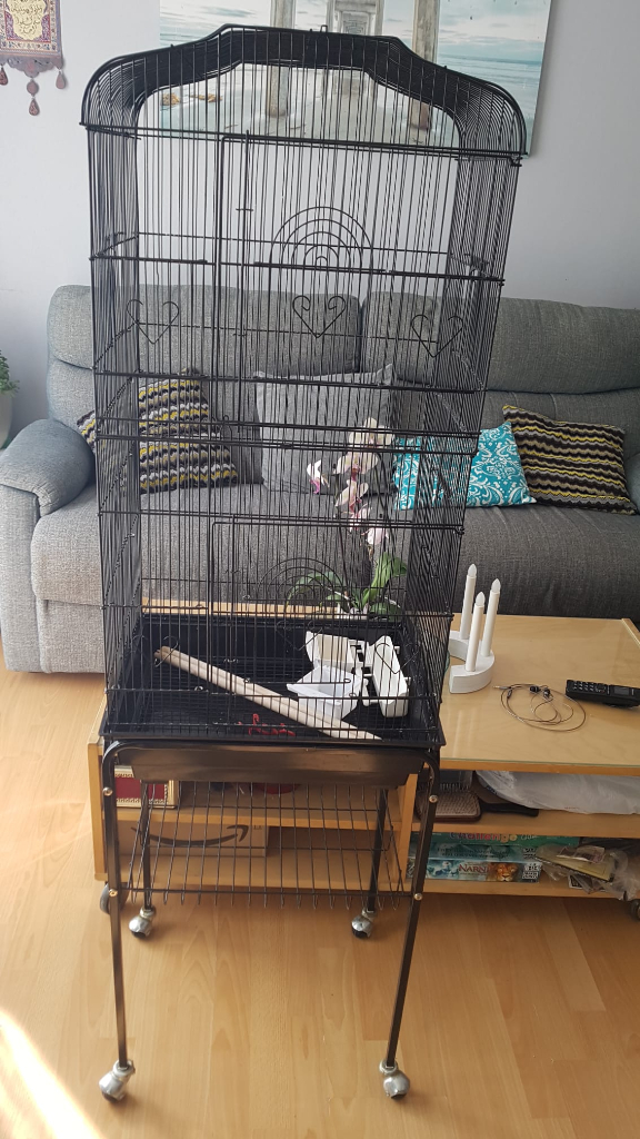 Birds cage with stand