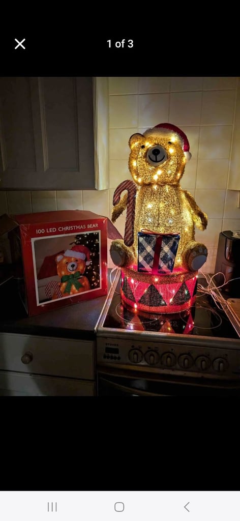 Teddy Christmas light 