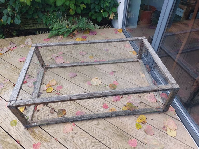 Rabbit or Guinea Pig Run