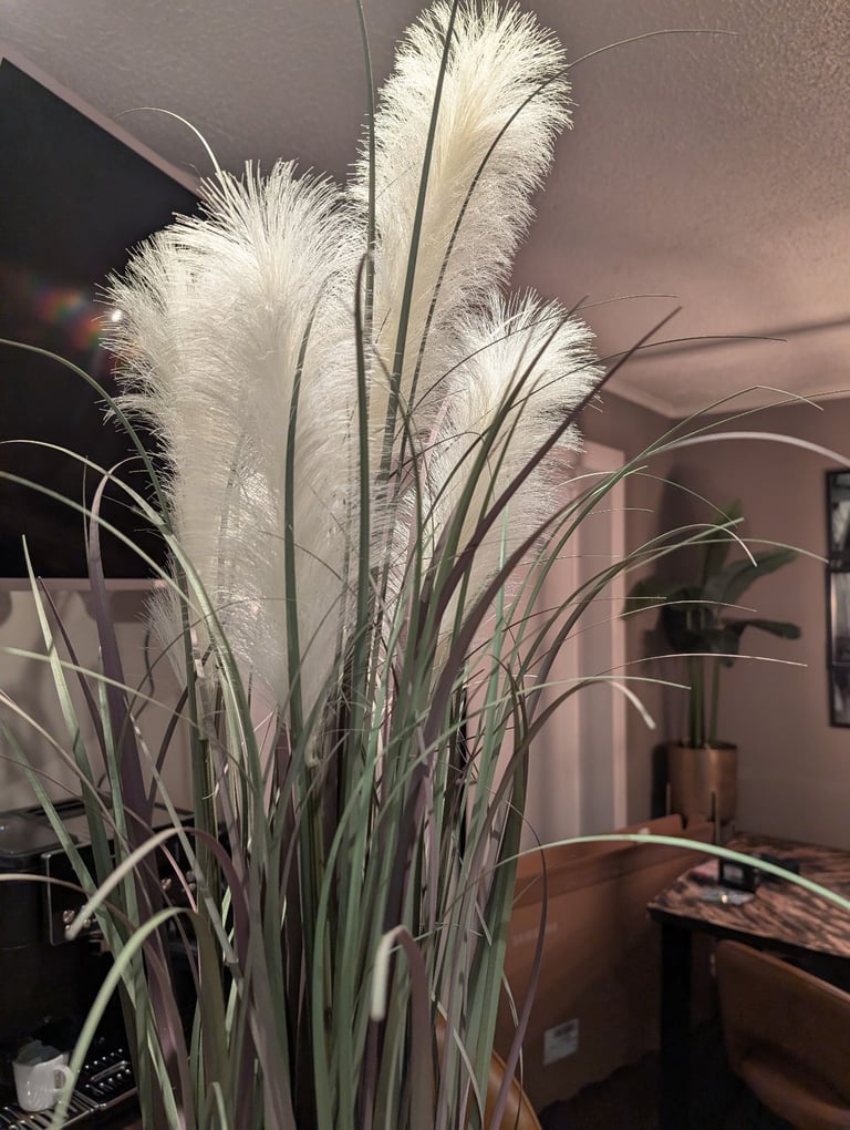 Free Glasgow delivery.....100cm artificial pampus grass plant. paid £50 almost