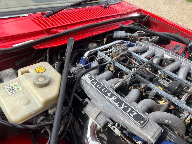 JAGUAR XJS CONVERTIBLE 5.3 V12 RARE IMPORTED RHD AUTO * FRESH IMPORT *
