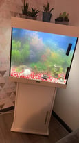 Fish tank full set up 