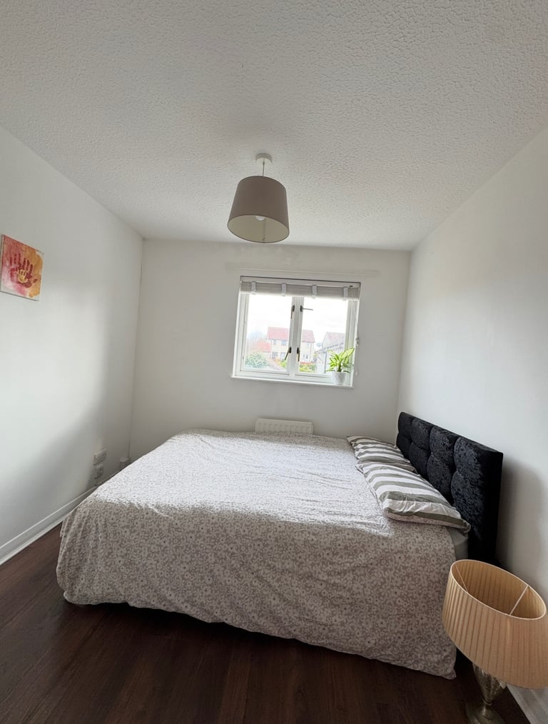 Furnished Single Bedroom Available 