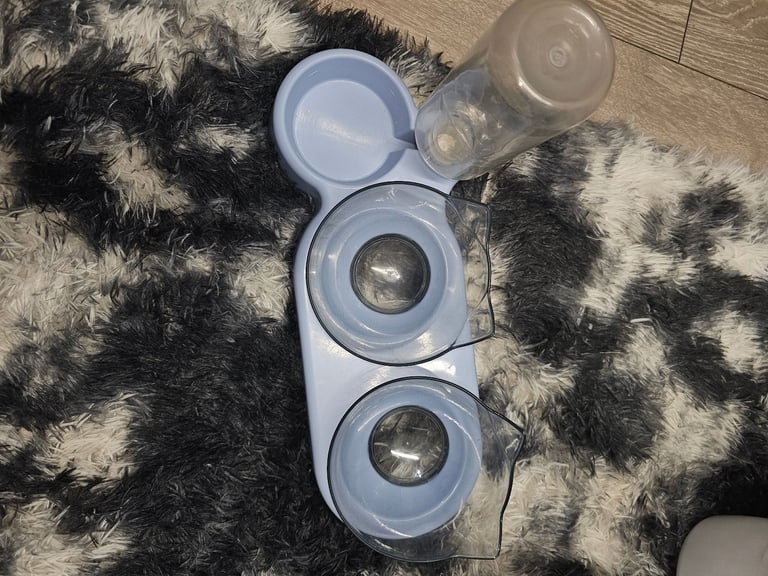 Cat food and water trio