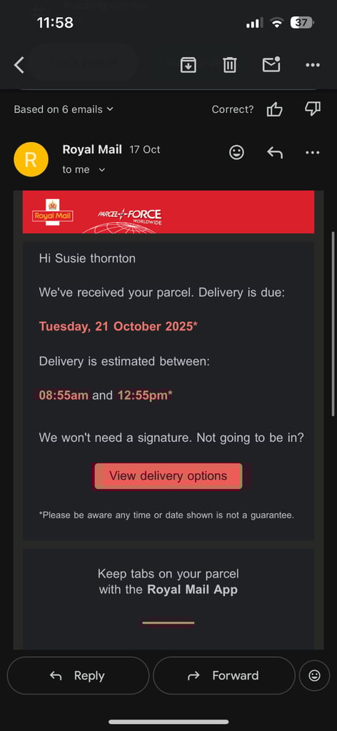 Lab cross dobe puppies