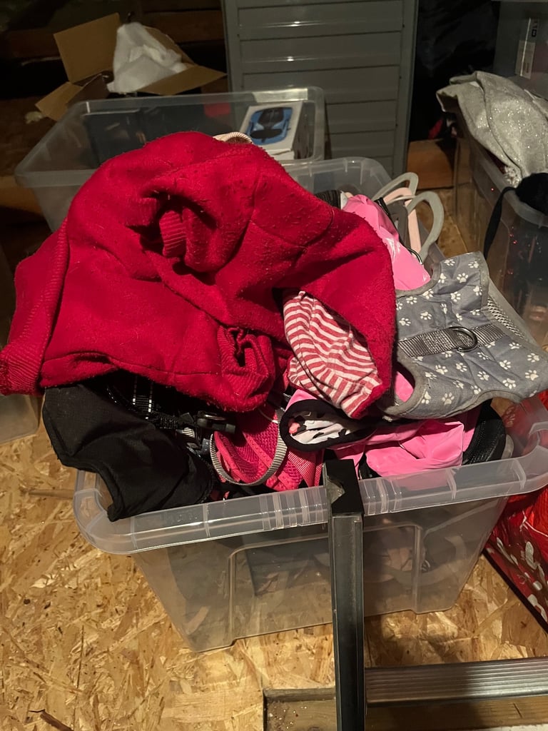 For sale selling a brand new dogs bed and some coats 