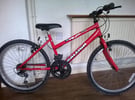 RALEIGH MAX CHILD’S CYCLE – excellent condition and fully working