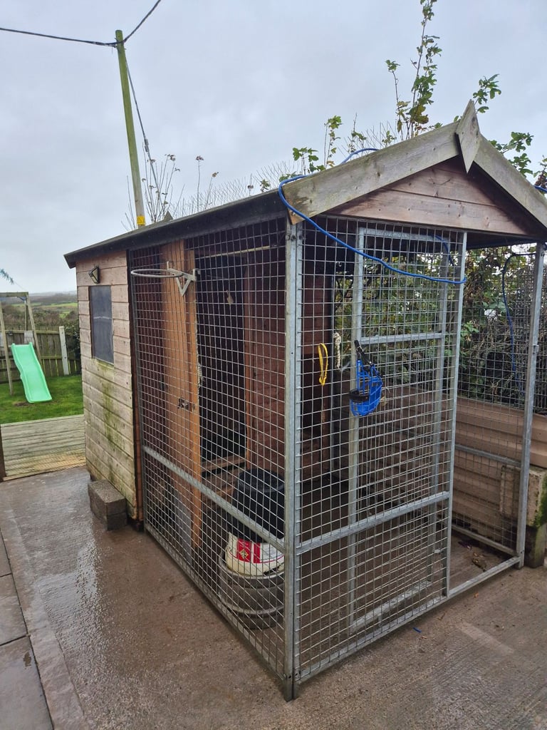Dog pen shed 