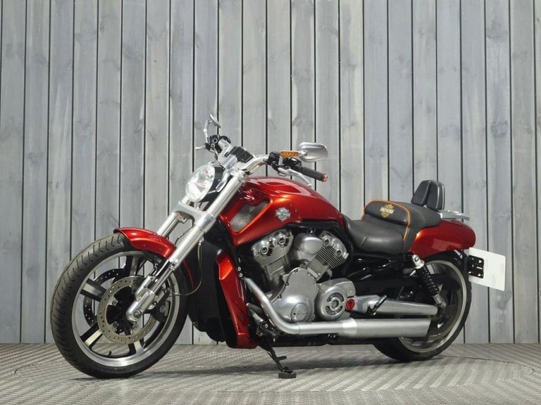 2013 53 HARLEY-DAVIDSON V-ROD VRSCF V-ROD MUSCLE 1247
