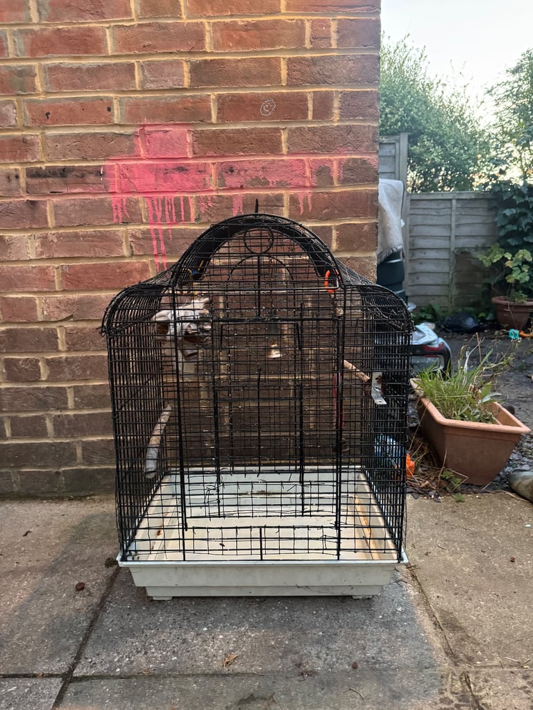 Bird Cage