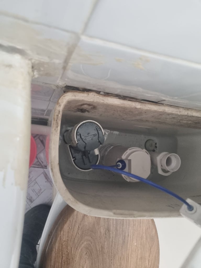 Handyman,electrician,plumber,painters