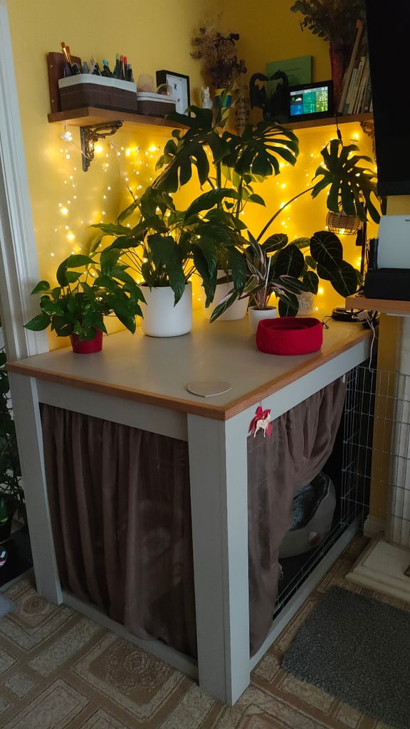 Extra Large dog crate with table