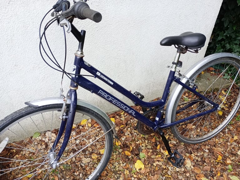 Ladies Professional Downtown bike, 18 speed, 18 inch frame, serviced, good condition