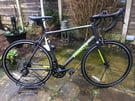 NEW PINNACLE LATERITE 14 SPEED ROAD BIKE,XL FRAME,TOURNEY SHIFTERS,CARBON