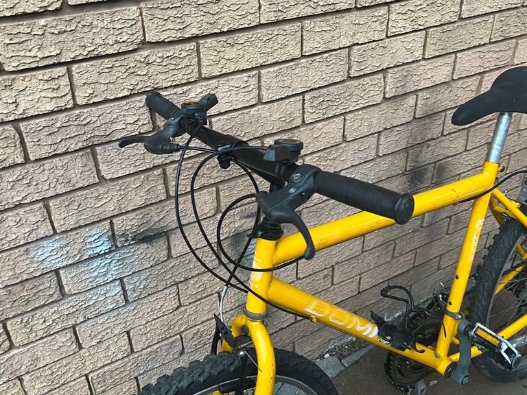 ADULT MEN BIKE DOMAIN IN GOOD WORKING ORDER 
