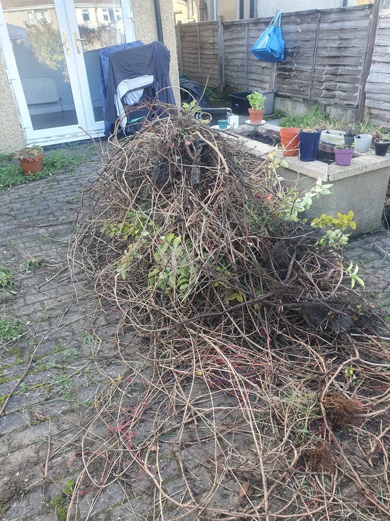 image for Garden offcuts