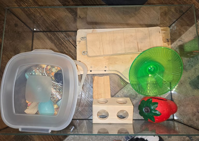 Hamster starter kit